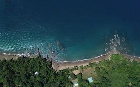 Cabins Yafeth Osa Drake Bay